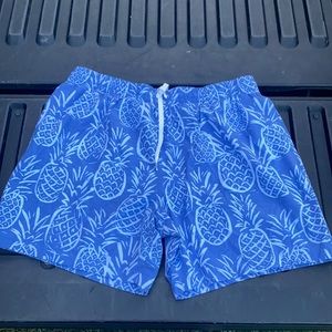 Chubbies bathing suit